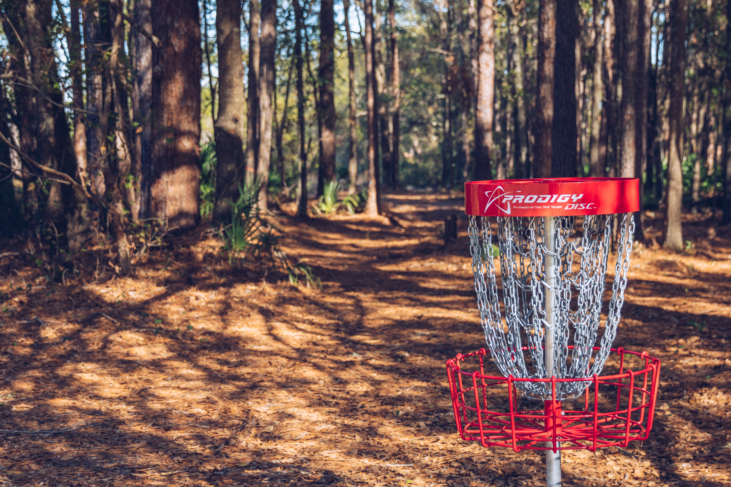 Disc Golf Pro Tour Championship To Be Held at New World DGC